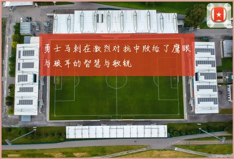 勇士马刺在激烈对抗中败给了鹰眼与狼耳的智慧与敏锐